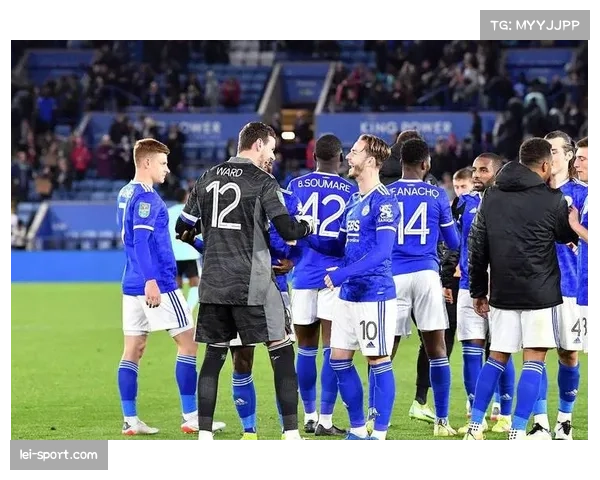 埃弗顿进步显著但赛程因素存疑 防守稳固性大幅提升